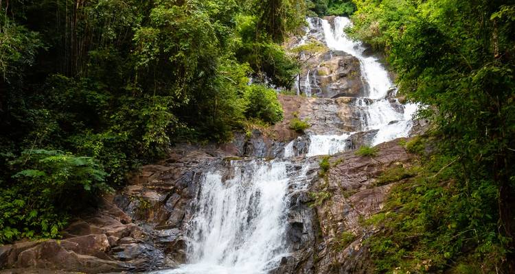 Cascada de múltiples niveles bajando por la densa selva tropical verde