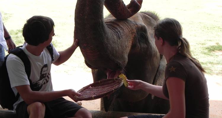 Highlights of Sri Lanka (Private Tour) - Sri Lanka Trekking 4