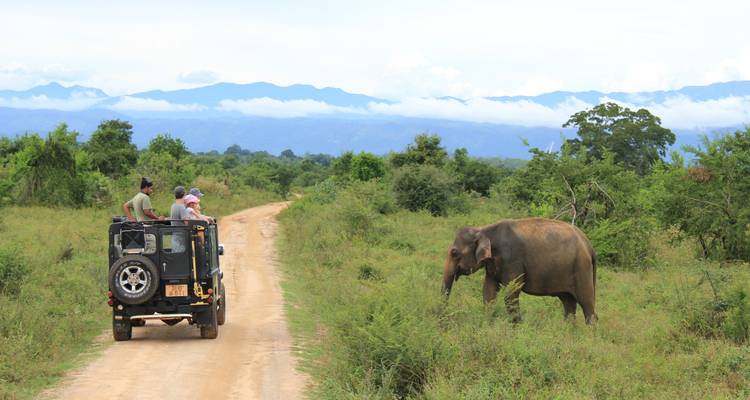 Highlights of Sri Lanka (Private Tour) - Sri Lanka Trekking 2