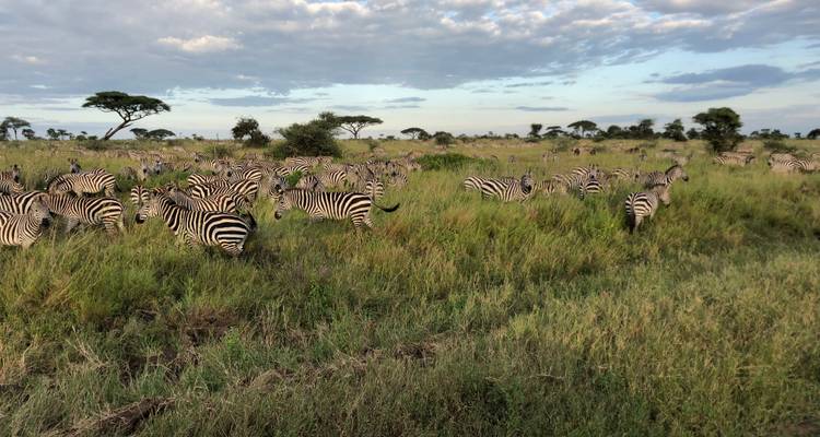 L'Afrique authentique - Circuit recommandé - Pure African Expeditions 2