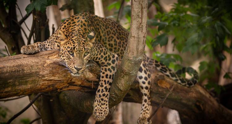 L'Afrique authentique - Circuit recommandé - Pure African Expeditions 5