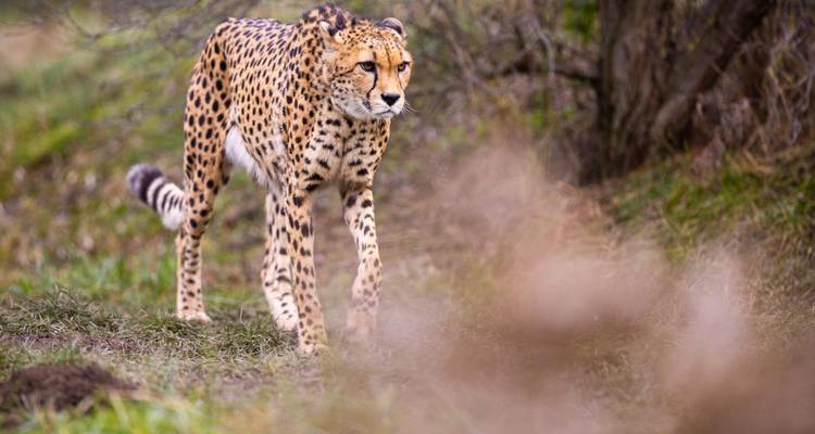 L'Afrique authentique - Circuit recommandé - Pure African Expeditions 3