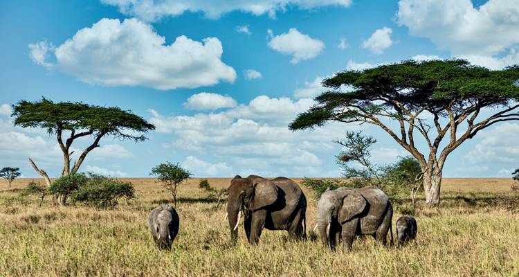 L'Afrique authentique - Circuit recommandé - Pure African Expeditions 1