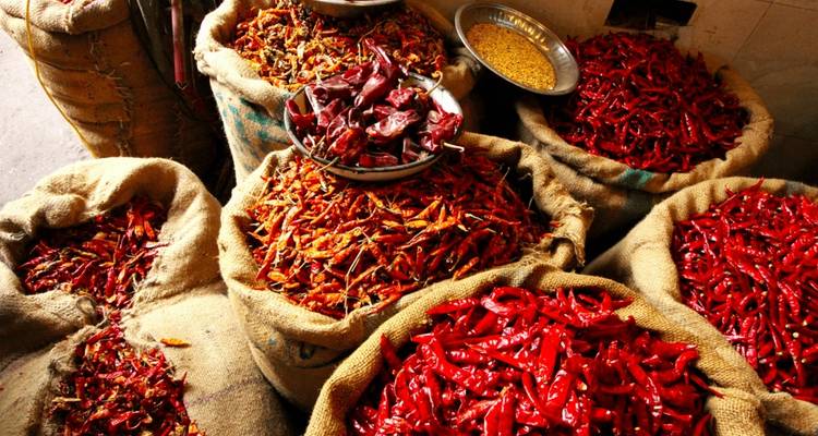Delhi Jaipur Agra Food Adventure Tour [6 Days] - TTI TOURS 3
