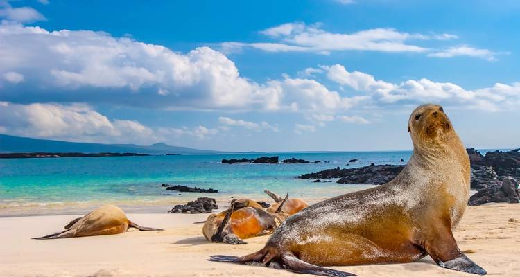 Land of the Incas (Galapagos East Cruise) - Trafalgar 3