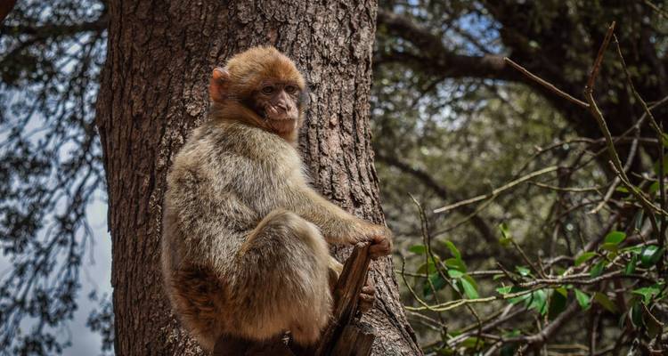 Discovering the Kingdom’s Secrets - Gboo Morocco tours 6