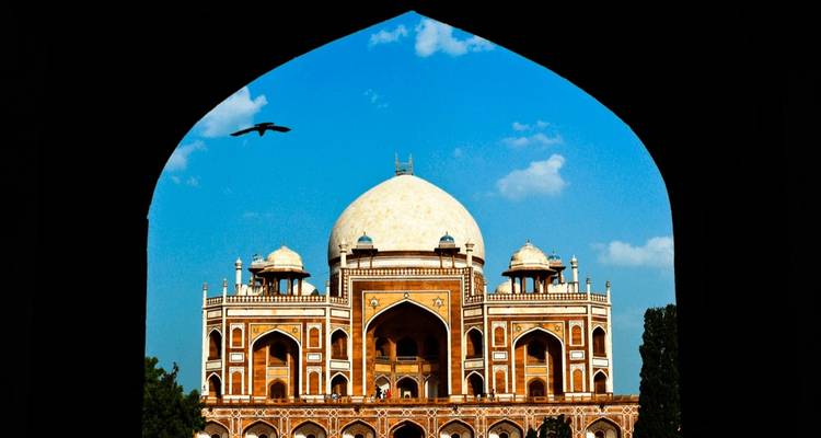 Circuito de aventura gastronómica por el norte de la India - 10 días - TTI TOURS 7