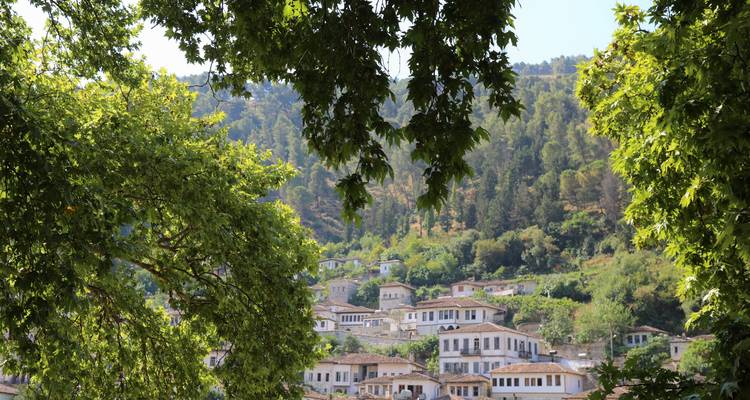 Traditionelle Häuser, eingebettet in Berge, sichtbar durch Äste von Bäumen.