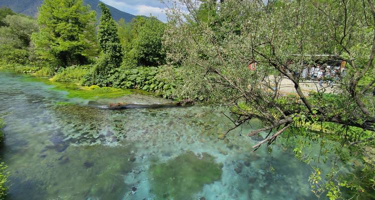 Klares blaues Wasser eines üppigen Flusses, umgeben von Vegetation.