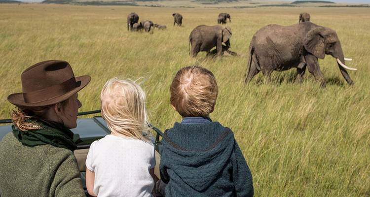 Famille observant des éléphants lors d'un safari dans la savane.