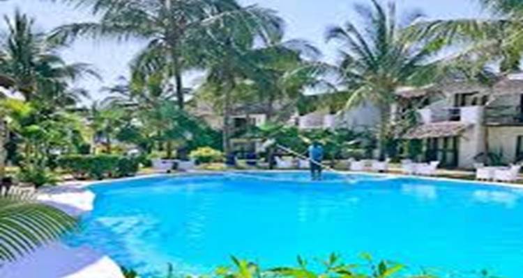 A blurry image of a swimming pool with palm trees and loungers around it.