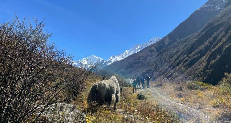 Excursionismo por el Valle de Langtang - Beyond The Limits Treks and Expedition 1