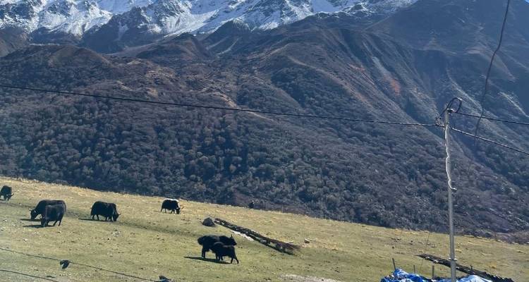 Excursionismo por el Valle de Langtang - Beyond The Limits Treks and Expedition 4