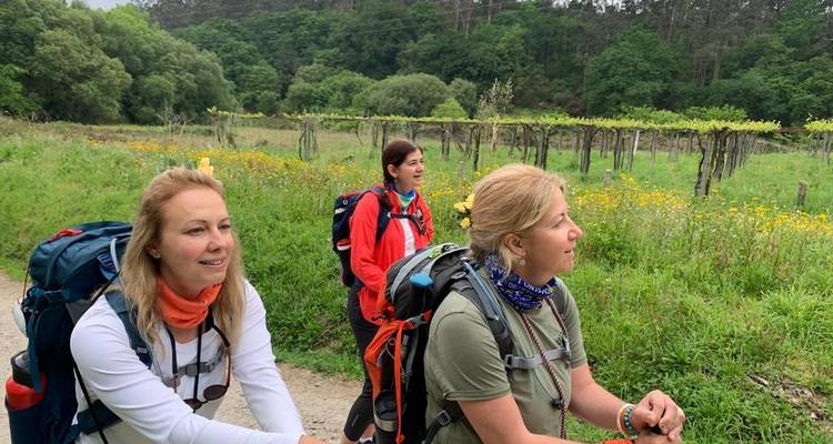 El Camino de Santiago - FONTE TURIZM 6