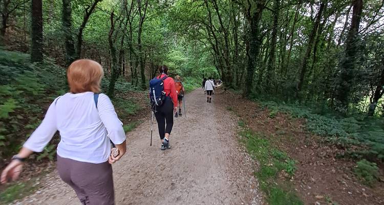 El Camino de Santiago - FONTE TURIZM 9