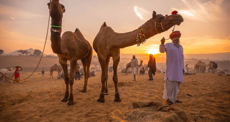 Circuit d'aventure culinaire au Rajasthan [8 jours] - TTI TOURS 9