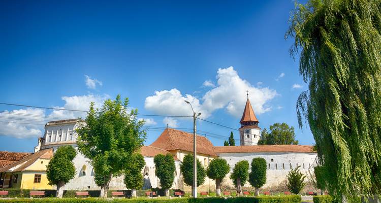 Les délices de la Transylvanie : Des villes médiévales aux châteaux enchanteurs et aux paysages de contes de fées - DÉPARTS GARANTIS - World Synergy Travel 10