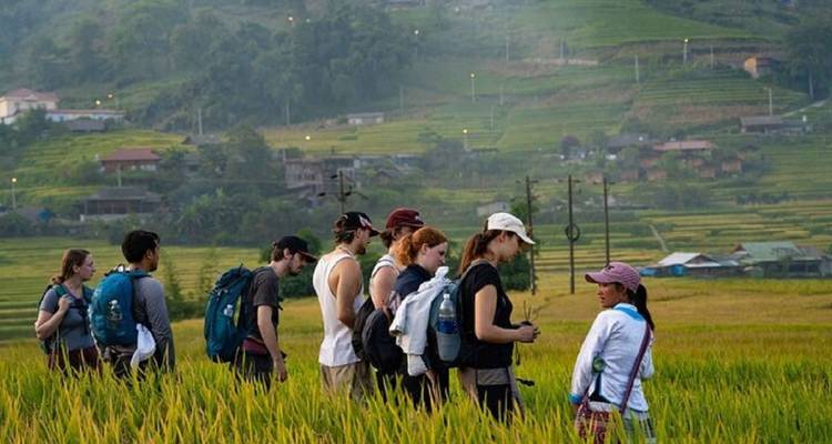 Groupe de touristes debout dans des rizières avec des collines en arrière-plan.