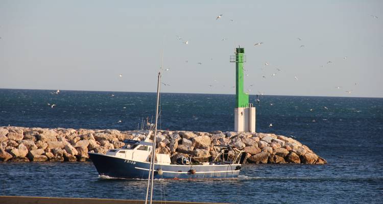 Cycling the Mediterranean Coast in Spain - Exodus Adventure Travels 8