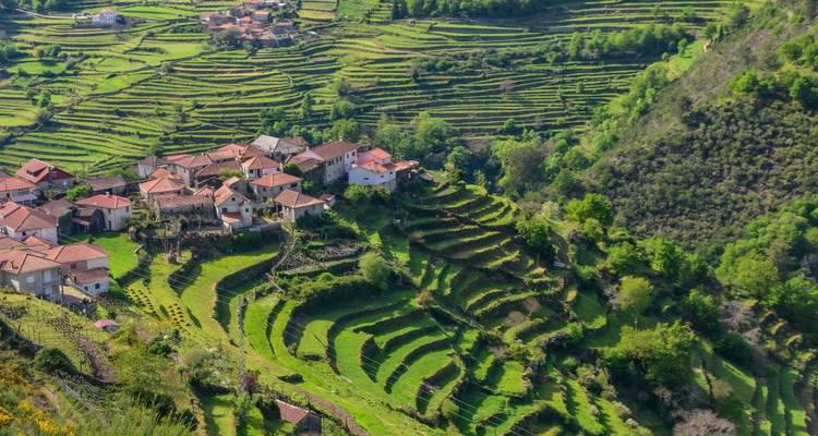 Miño La Región del Vino Verde - Schultz Portugal 2