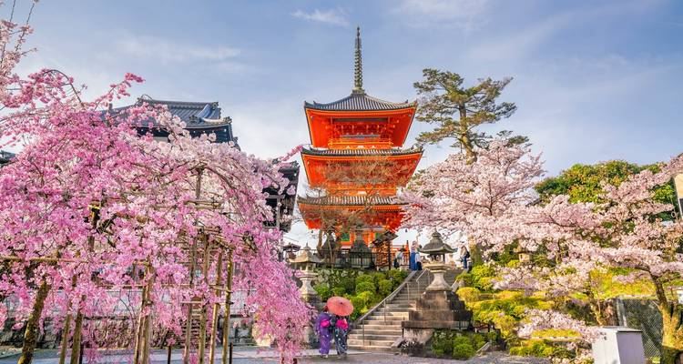 8D Splendid Japan with Nagoya(private 3 star hotel rooms) - Stunning Tours 10