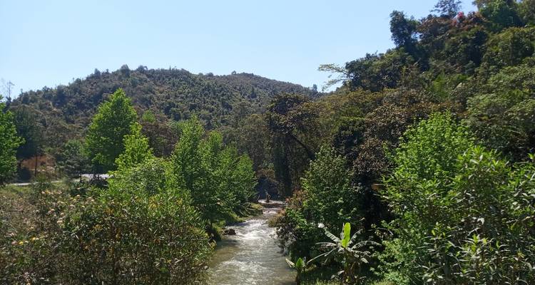 Rencontres Indri - Travelia Safari 3