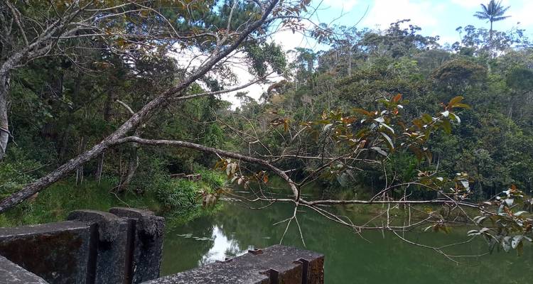 Rencontres Indri - Travelia Safari 8
