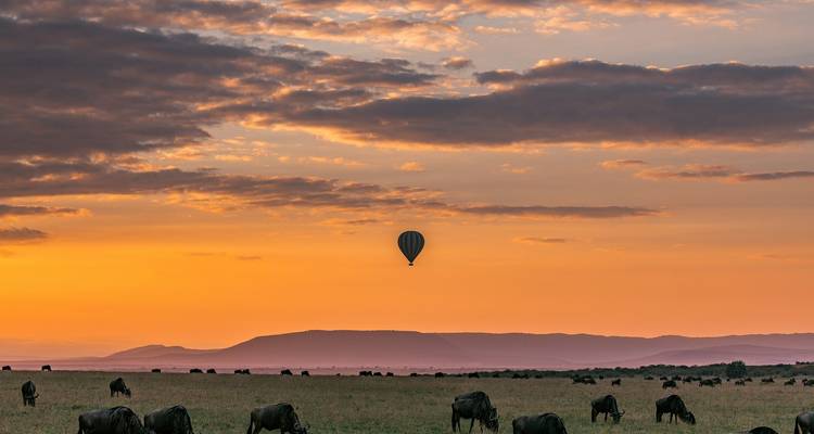 Safari de 6 días con los 5 grandes en Selous y Ruaha - Afrishare Trekking And Safaris 1