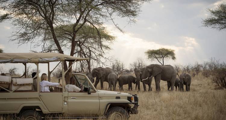 Safari de 6 días con los 5 grandes en Selous y Ruaha - Afrishare Trekking And Safaris 10