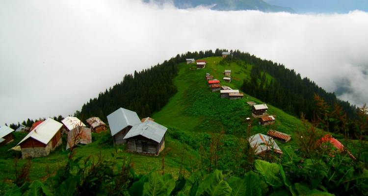 Circuit privé sur le plateau de la Mer Noire - 4 nuits/5 jours - Rize Artvin - Holitera Turizm  1