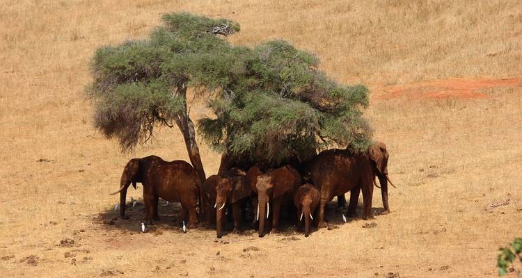 Safari especial migración de 6 días - Afrishare Trekking And Safaris 3