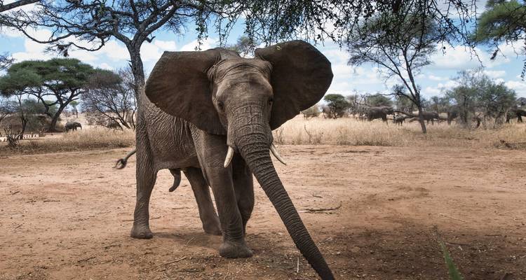 Aventura por Tanzania - Safari de aventura de 3 días - theKili-Guides 1