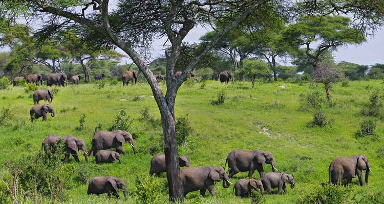 Aventura por Tanzania - Safari de aventura de 3 días - theKili-Guides 2
