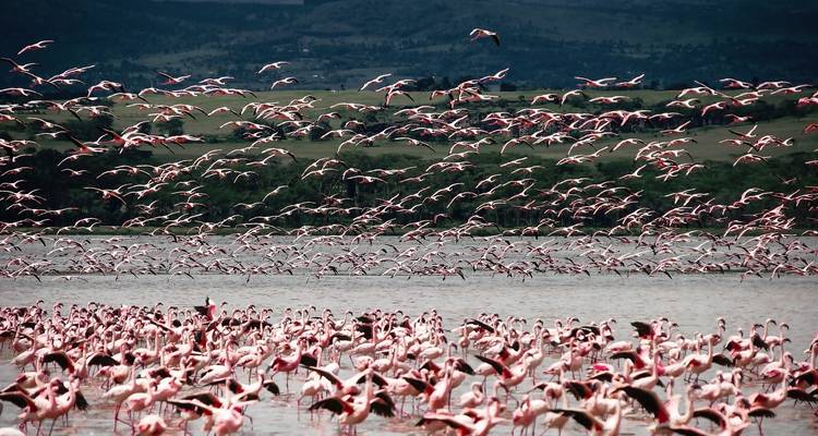 Aventura por Tanzania - Safari de aventura de 3 días - theKili-Guides 4