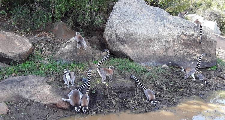 Excursion sur la rivière Tsiribihina - Travelia Safari 10