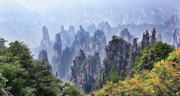A landscape of towering, misty karst formations in Zhangjiajie.