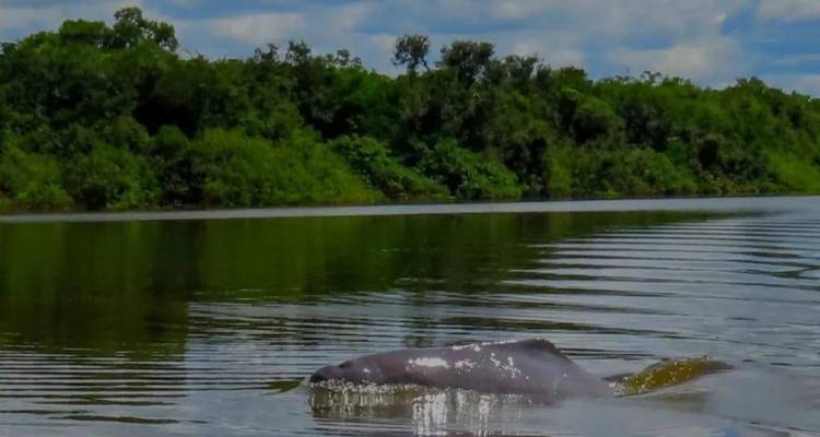 Group Tour, 4 Days Guaviare - Wet Season - BnB Colombia Tours 4