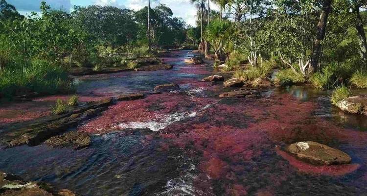 Group Tour, 4 Days Guaviare - Wet Season - BnB Colombia Tours 7