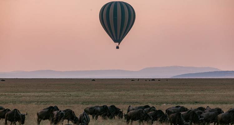 Safari de 6 días por la migración de ñus del Serengeti - explora los principales parques del norte de Tanzania - Africa Natural Tours 4
