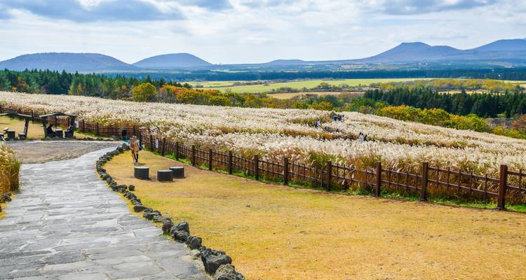 2025 Check-in Corea con la Isla de Jeju en 16 días: Una Experiencia Todo Incluido - HanaTour ITC 10