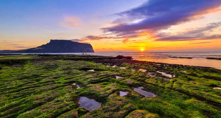2025 Check-in Corea con la Isla de Jeju en 16 días: Una Experiencia Todo Incluido - HanaTour ITC 5