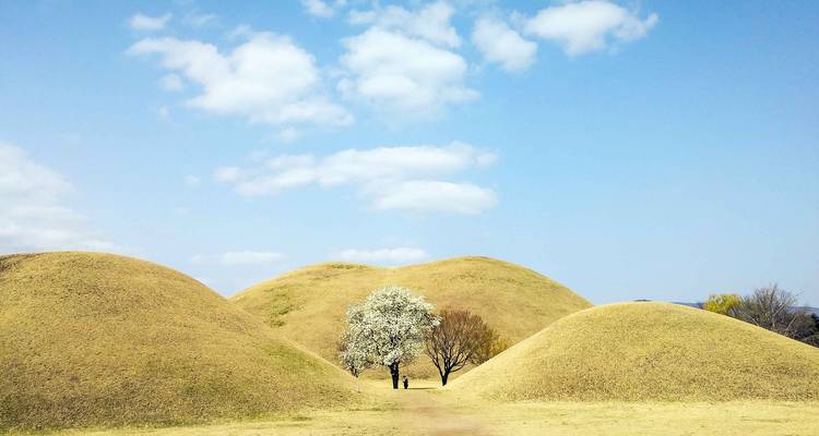 2025 Check-in Corea con la Isla de Jeju en 16 días: Una Experiencia Todo Incluido - HanaTour ITC 2