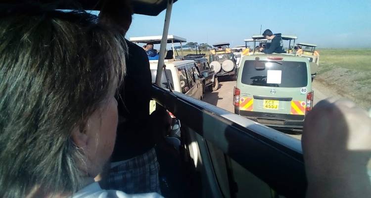 2-Day Amboseli Private Safari from $300 - Smile view Kenya tours and travel 7