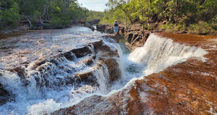 Cape York Tours and Daintree Rainforest - Sky Road Trail 8