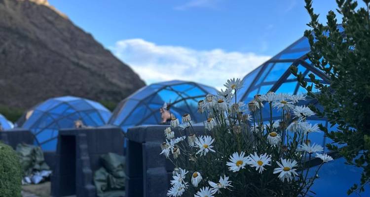 Structures en dôme avec des fleurs au premier plan.