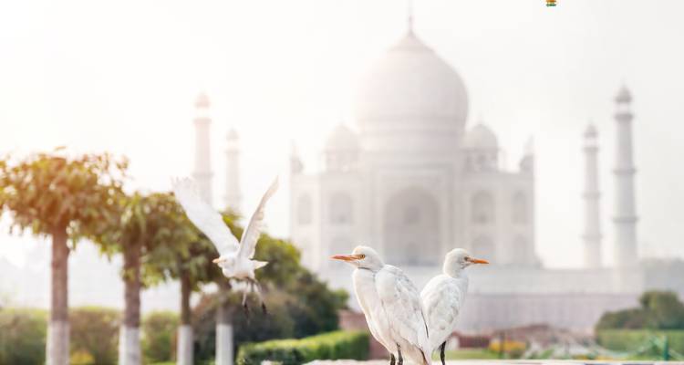 Circuito de 2 días a Agra para ver el Taj Mahal al amanecer y al atardecer desde Delhi - Wonderful Holidays 1