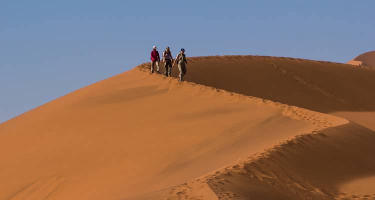 Cañones, dunas y vida salvaje * salida los martes - World Adventure Tours 9