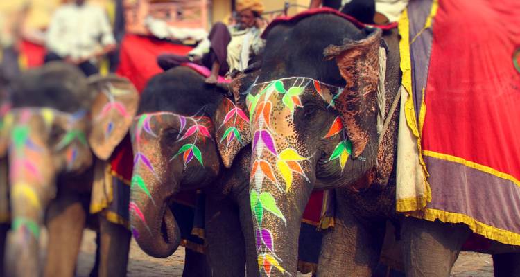 Excursión exclusiva de 2 días a Delhi y Jaipur desde Delhi - Wonderful Holidays 7