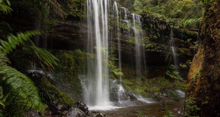 Wilderness and Whisky Walks - Adventure Trails Tasmania 3