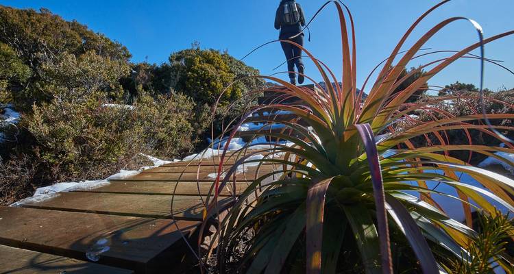 5 Day Tasmania private tour. - Adventure Trails Tasmania 1